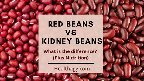 Estuary Spell Ruby Red Kidney Beans as a Source of Iron: Perfect for Vegetarians and Vegans.